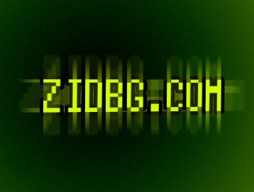 PORTAL ZIDBG.COM INFO